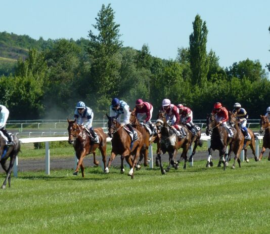 I migliori tipster italiani presenti su telegram migliori tipster italiani su telegram