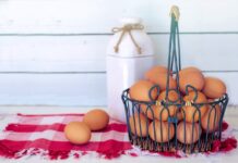 Come pastorizzare le uova con il bimby pastorizzare le uova