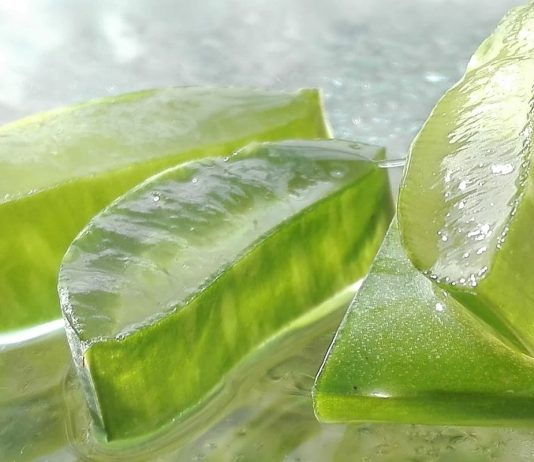 Cura i tuoi problemi di stomaco con l’Aloe Vera problemi stomaco aloe