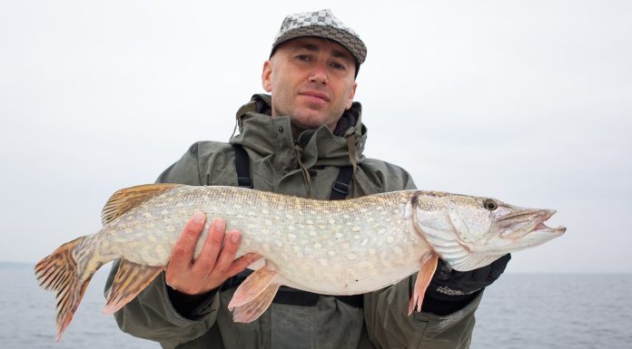 Viaggi di pesca al pesce luccio! pesce luccio