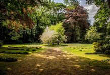 4 idee brillanti per illuminare il tuo giardino idee giardino