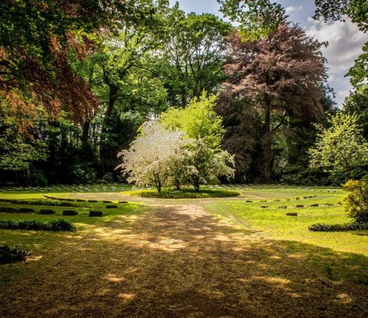 4 idee brillanti per illuminare il tuo giardino idee giardino