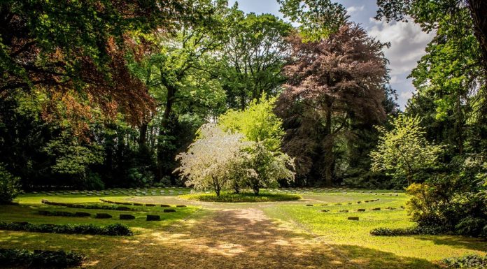 4 idee brillanti per illuminare il tuo giardino idee giardino